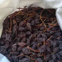 مویزبش دشمن زیاری|عمده‌فروشی|شیراز, دارالرحمه|دیوار