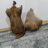 هیزه نو فروش