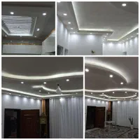 برقکش  برقکار