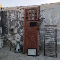 کفتر هوایی نر،در چخ،سار آلمانی ماده،نورافکن،|پرنده|مشهد, کوی دروی|دیوار