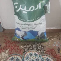 برنج