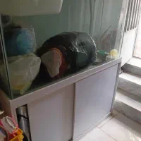 اکواریوم
