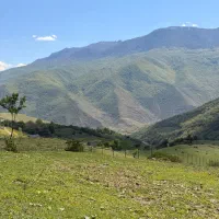 فروش-زمین-باغی-1300-متر-با-ویویی-خوب