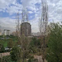 فروش-1000-متر-کلنگی-پونک-کمالی