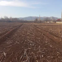 فروش و اجاره زمین کشاورزی|اجارهٔ دفتر صنعتی، کشاورزی، تجاری|فیرورق, |دیوار