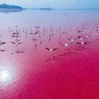 فروش زمین هزارمتری باغشهری،کودیان