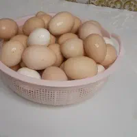 تخم مرغ خانگی