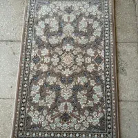 فروش تعداد زیادی پادری ب قیمت عمده در بندرعباس|پادری|بندرعباس, |دیوار