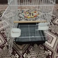 قفس|لوازم جانبی حیوانات|تایباد, |دیوار