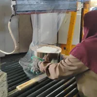 جذب نیروی ساده خانم از نجف آباد و حومه