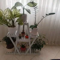 پایه وگلدان(معاوضه با کتابخانه یا سرخکن)