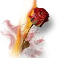 اجاره کارواش ....سر گلستان