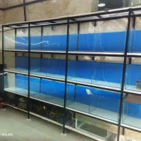 پایه و آکواریوم نو