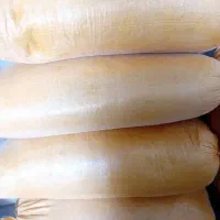 فروش کاه عمده