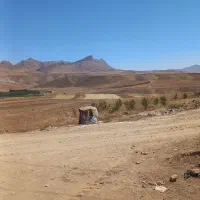 زمین در فراموشجان 20 کیلومتربالاتر از چادگان|فروش زمین و ملک کلنگی|چنارود, |دیوار