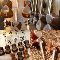 فروش تخصصی تار