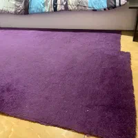 پالاز موکت|موکت|همدان, |دیوار