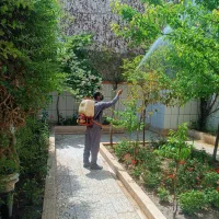 کلیه کارهای باغبانی،سم پاشی تیلرزنی هرس گل کاری|خدمات باغبانی و درختکاری|مشهد, هفت تیر (حافظ)|دیوار