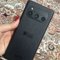داریا باند