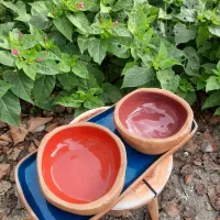 کاسه رنگی بازیره سنگی