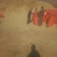 کاه گندم فروش عمده