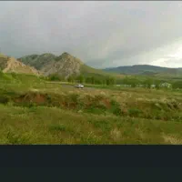5700م باسند تک برگ درخلخال