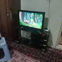 تلوزیون