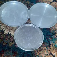 سینی روی و استیل