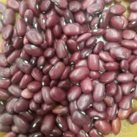 لوبیا قرمز درجه یک