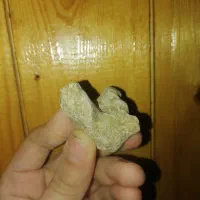 سنگ های فسیل وعجیب|کلکسیون و سرگرمی|آزادشهر, |دیوار