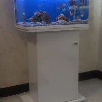 آکواریوم شیشه خم