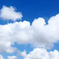 علف همه گیاه جار