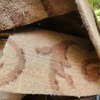 موکت درحدنو