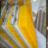 فروش نبات نی دار.