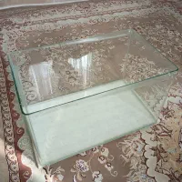 آکواریوم شیشه خم شرکتی