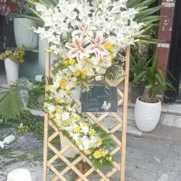 خانم یا اقا جهت شیفت بعدازظهر ۶عصرتا ۱۰شب