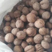 بهترین گردو نهاوند