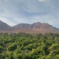 باغ-فرخشهر