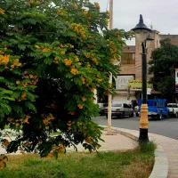 کهنوج مجتمع تجاری پاساژ میدان امام قلب بازار