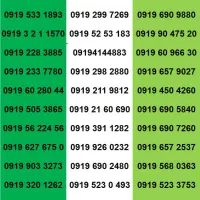 0919.256.8490|سیمکارت|مشهد, حرم مطهر رضوی|دیوار