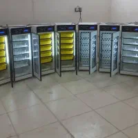 دستگاه جوجه کشی ـ سنـسور اورجینال با ۱۸ماگارانتیـ