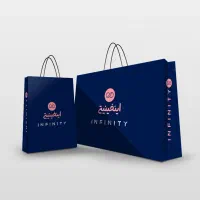کمک حسابدار مسلط به نرم افزار شایگان