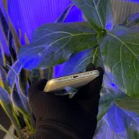 آیفون 11 پک اصلی Zaa|موبایل|رشت, چله خانه|دیوار