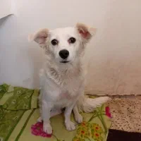 بخاطر بی جایی