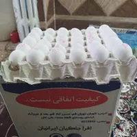 سلام دوستان تخم مرغ کارتنی عمده موجود هست