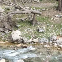 فاز ۲شبکه بهداشت