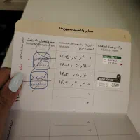 گربه دی اس اچ نر 5 ماهه|گربه|قزوین, |دیوار