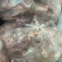 اسکلت مرغ