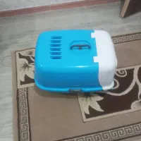 جای خواب گربه