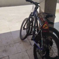 دوچرخه ویوا